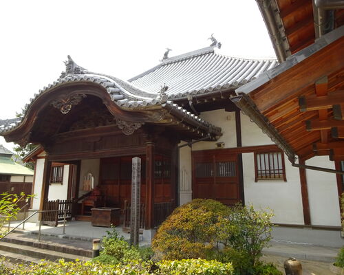 DSC00252